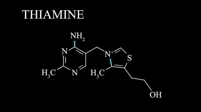 Vitamin B1 Thiamine Molecule Molecular Structure Animation, Chemical Formula and Biochemistry Science Motion Graphic