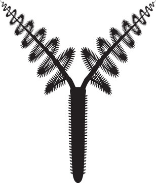 Black Silhouette of Christmas Tree Worm with Spiral Feathery Radioles Forming Twin Spiral Crowns - Marine Tube Worm Vector