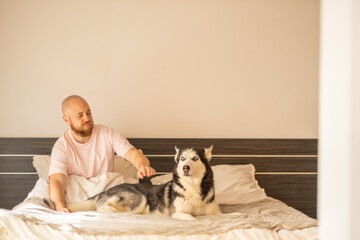 Two husky dogs look into camera lying on bed with their owner, friendship starting with very first minute, moment without any command. Wide shot. Concept of friendship between man and his dogs © iwavephoto