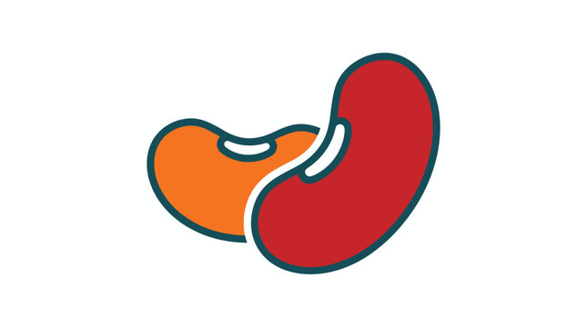Two kidney beans in orange and red hues flat silhouette