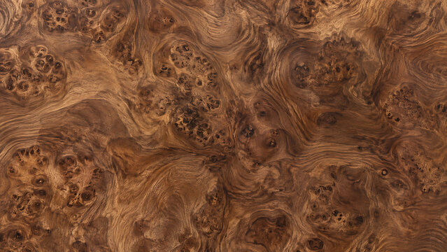 Close-up of a luxurious dark brown walnut burl wood texture with intricate swirling grain patterns and natural knots.