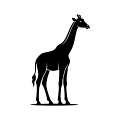 Silhouette of a giraffe with long neck, representing African wildlife and safari animals on a transparent background. © Handmade