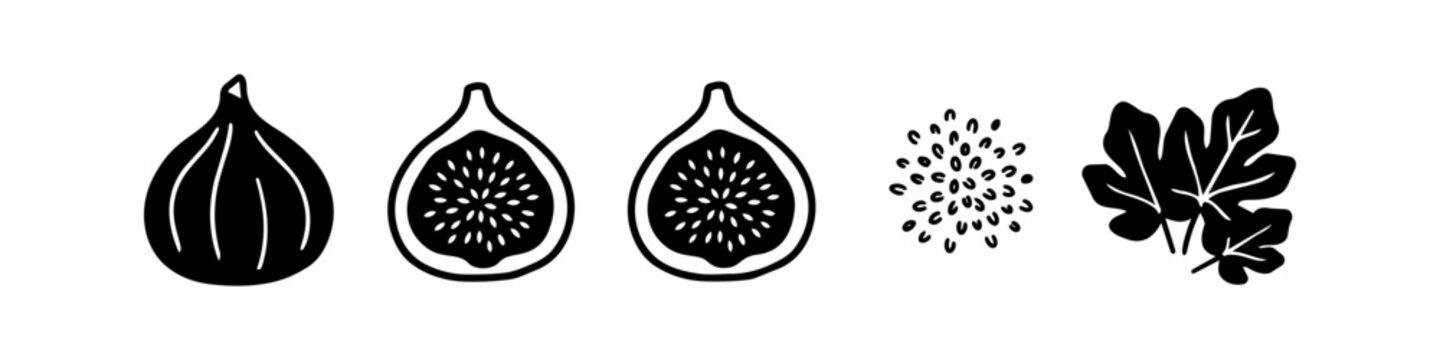 Black and white fig icon set featuring whole fruit, cross-section halves with seeds, and leaves. Minimalist vector illustration isolated on a white background.