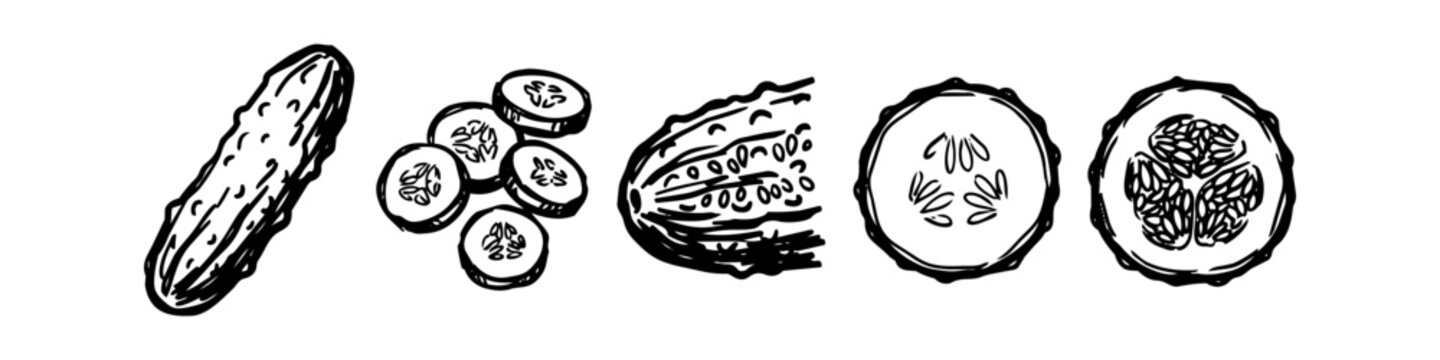 Hand drawn sketch set of cucumbers and pickles, including whole, half, and sliced pieces. Black and white ink vector illustrations isolated on a white background.