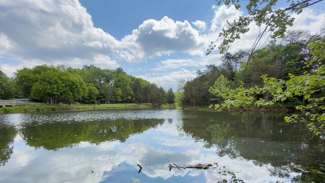 Wooded pond with a wooden footbridge on the left, mirror-like reflections of clouds and trees, and a floating log in the foreground