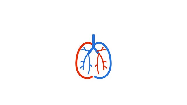 Human Lungs Animation Medical Anatomy Icon