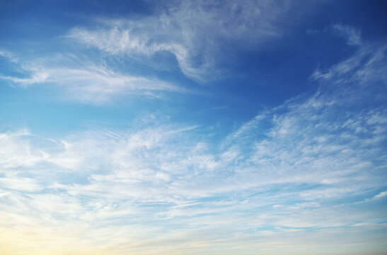 Sky background on sunset. Thin white cirrus clouds scatter across vibrant blue sky with delicate cream gradient near horizon. Clear atmospheric texture and backdrop