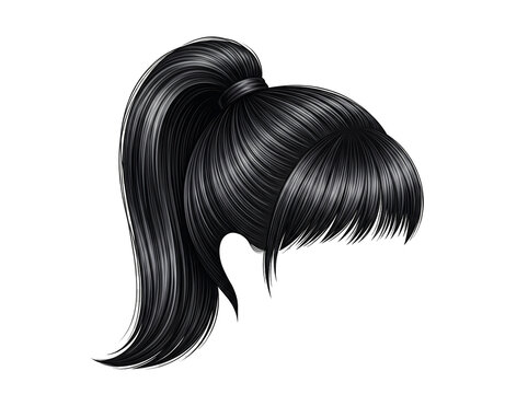 Realistic dark black hair with high ponytail and bangs isolated illustration