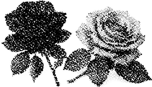 Halftone stipple roses in retro grunge style with dotted transparent effect