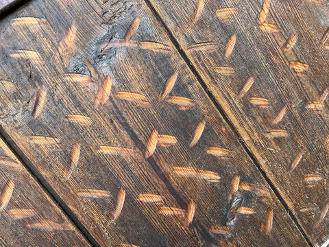 Full frame background texture of old damaged brown wooden planks with carved notches and deep cuts