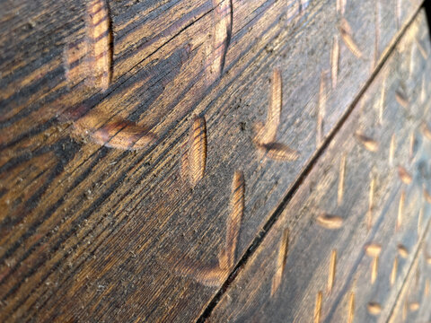 Horizontal eye level shot of a damaged brown wooden planks with notches, deep cuts, and selective focus