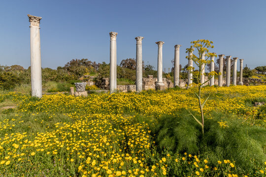 Colonnaded gymnasium in Salamis ancient city, Northern Cyprus