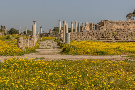 Colonnaded gymnasium in Salamis ancient city, Northern Cyprus