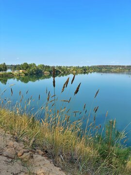 Tall Wild Grass on Sandy Shore of Serene Blue Lake Vertical