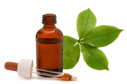 Baobab branch with dropper bottle isolated on white background