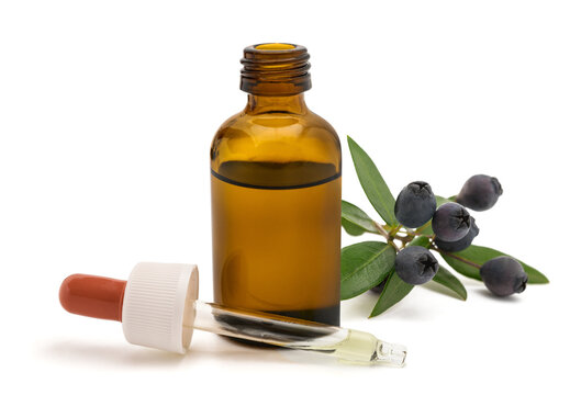 Myrtle sprig with berries with dropper bottle and pipette isolated on white