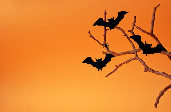 Halloween background with black bats sitting on tree.