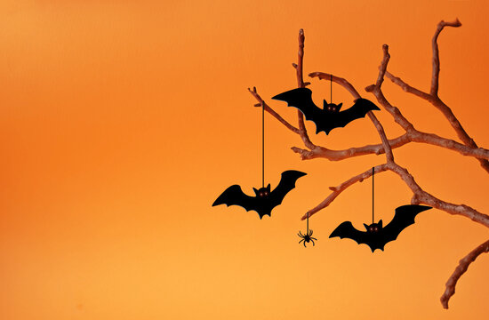 Halloween background with black bats sitting on tree.