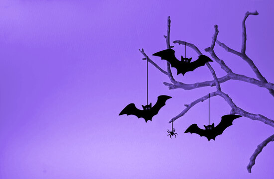 Halloween background with black bats sitting on tree.