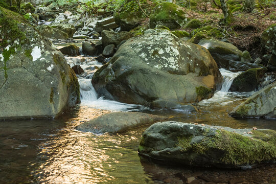 Il fiume Dardagna in montagna con le sue cascatelle e i riflessi del bosco