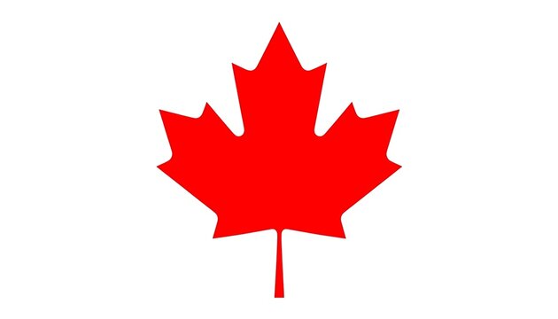 Canadian maple leaf symbol isolated on clean white background for branding and logo design