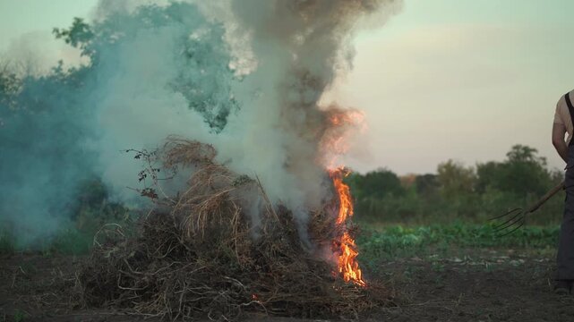 Farmer in straw hat adds dry twigs to a burning pile of brush, creating smoke and flames in a rural field during sunset, with green vegetation and trees visible in the background