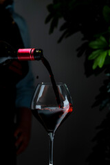 Obraz premium Dry Bordeaux red wine in elegant glass — premium hospitality service. Sommelier in dark apron with bottle serving drink at tasting event. Luxury restaurant catering, exclusive celebration.