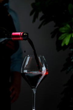 Dry Bordeaux red wine in elegant glass &mdash; premium hospitality service. Sommelier in dark apron with bottle serving drink at tasting event. Luxury restaurant catering, exclusive celebration.