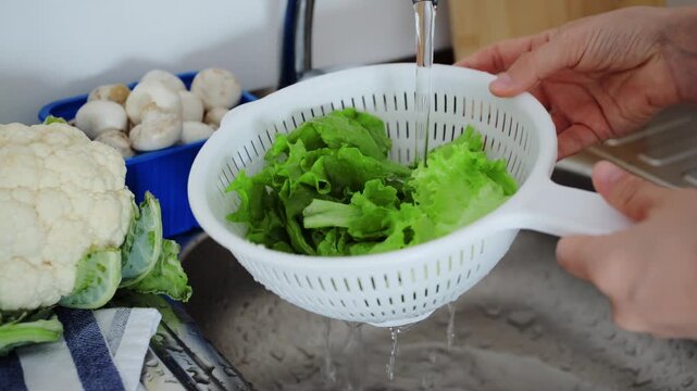 Person cleans fresh salad greens using colander under stream of clear tap water in kitchen sink. Careful cook washes crisp lettuce leaves surrounded by cauliflower and raw mushrooms nearby.