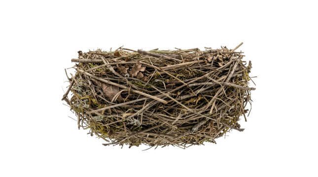 Empty bird nest made of dry twigs and moss isolated on a clean white background for design