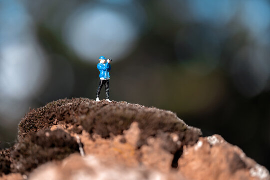 Photographer standing on a mossy hilltop, capturing the beauty of nature