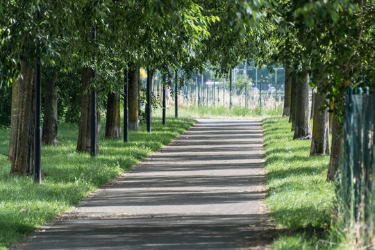 viale