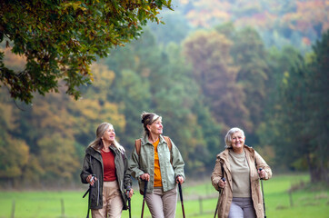 Fototapeta premium Old female friends enjoying countryside walk with walking poles.