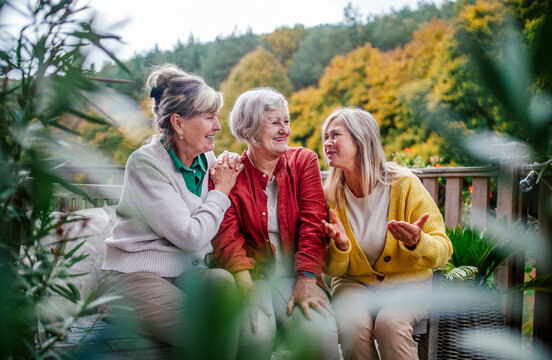 Three senior women enjoying peaceful autumn afternoon outdoors.