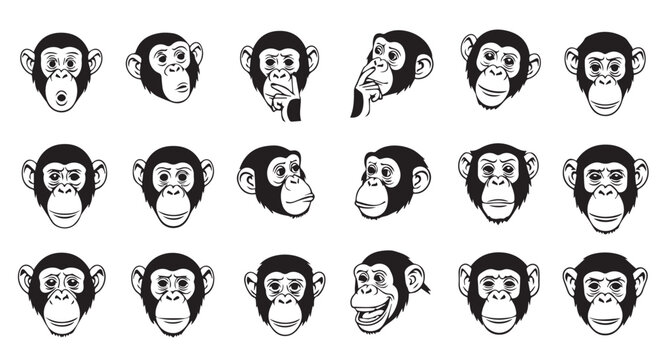 Chimpanzee faces showing various emotions and expressions in a clean graphic illustration style