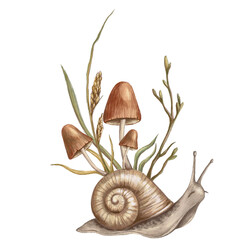 Autumn hand drawn illustration with colored pencil of a cute snail with wild mushrooms and dry grass on its shell, autumn forest clipart isolated on transparent background © Ulyana