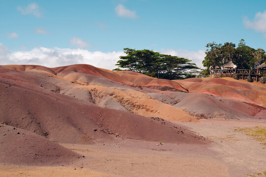 Lone Tree Standing Amid Colorful Earth Under a Blue Sky in Chamarel, Mauritius