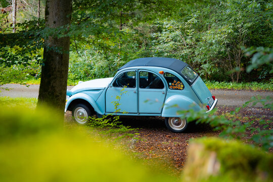Citro&euml;n 2CV im herbstlichen Wald