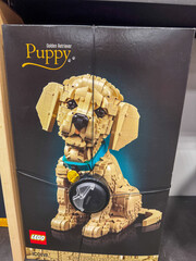 Obraz premium Mesa, Arizona - September 19, 2026: Golden Retriever Puppy Lego building set in a box