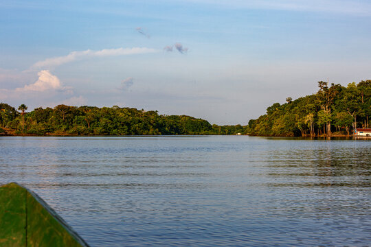 View from a boat navigating a calm river surrounded by lush Amazon rainforest in Brazil