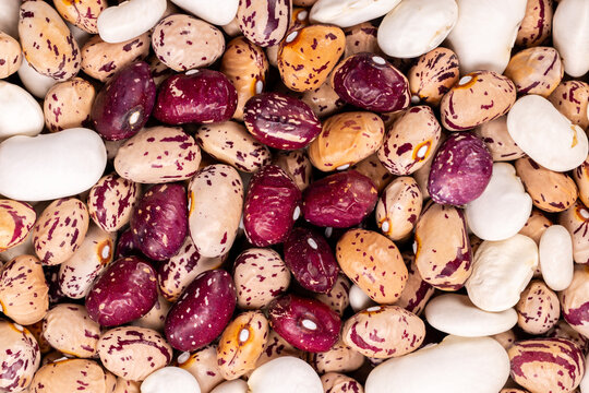Assorted dried beans offering nutrition and plant based protein