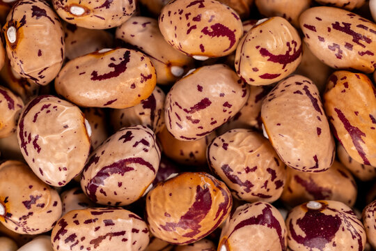 Pinto beans creating a natural food texture background