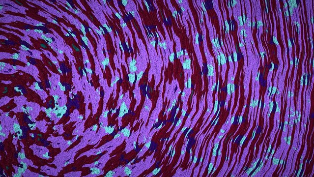 High-resolution 8K abstract procedural background generated with JavaScript. This unique mesh gradient image features a dynamic, liquid marble-like texture with swirling wavy lines and organic speckle
