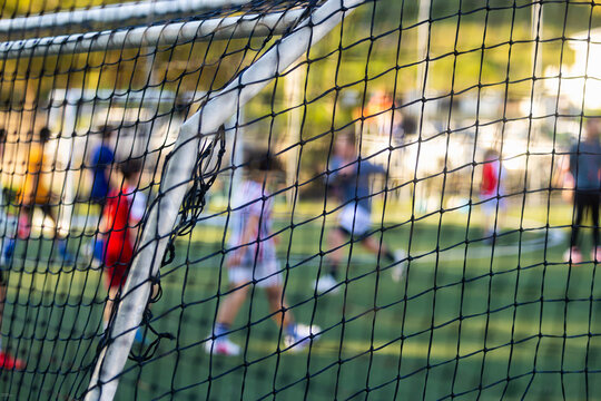 abstracted view of goalie net and goalie in late afternoon light