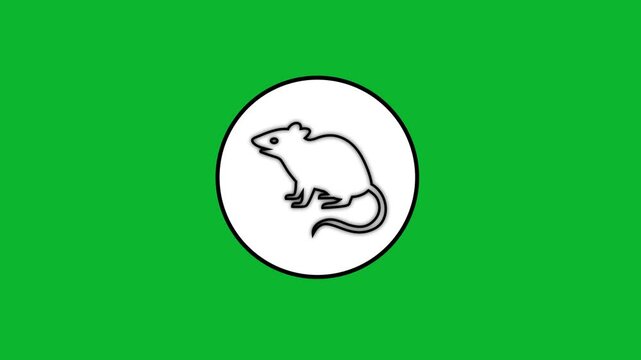 Minimalist outline drawing animation of rat in circle on green screen chroma key background.