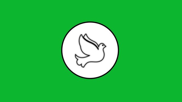 Minimalist white dove drawing animation on green screen with black outline moving wings in a circular frame.