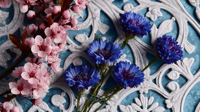 Top view of blue cornflowers and pink cherry blossoms on a white ornate scrollwork background. Elegant spring floral arrangement