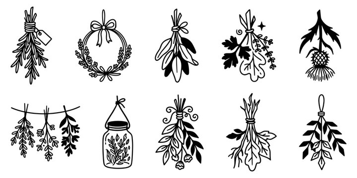 Dried herbal medicine bunches and aromatic botanical plants doodle icons set