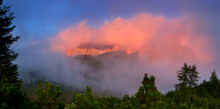 Pale di San Martino peaks emerge through glowing pink sunset clouds above alpine forest and slopes at Passo Rolle in the Italian Dolomites.