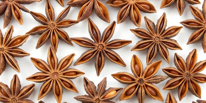 seamless background with star anise